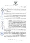 Vista preliminar de documento RER.334