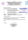 Vista preliminar de documento Programación multianual de Salud Materno Neonatal