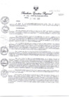 Vista preliminar de documento RER196-2025
