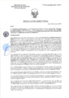 Vista preliminar de documento RD-2454-2025-DSAIA-DIRIS-LE-MINSA