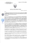 Vista preliminar de documento RD-2458-2025-DSAIA-DIRIS-LE-MINSA