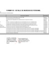 Vista preliminar de documento FORMATO B - DETALLE DE INGRESOS DE PERSONAL