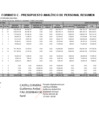 Vista preliminar de documento FORMATO C - PRESUPUESTO ANALÍTICO DE PERSONAL RESUMEN