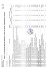 Vista preliminar de documento ANEXO N° 06 - CMN 35