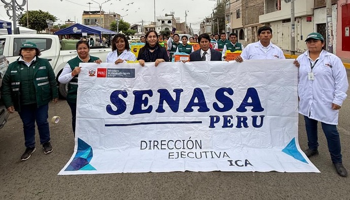 SENASA - Inocuidad - Monitoreo ciudadano en supermercados descarta presencia de residuos de plaguicidas en fresas y pepinillos - Peru Inocuidad