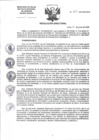 Vista preliminar de documento RD-213-2025-DG-INCN
