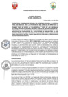 Vista preliminar de documento 3314741442652446560