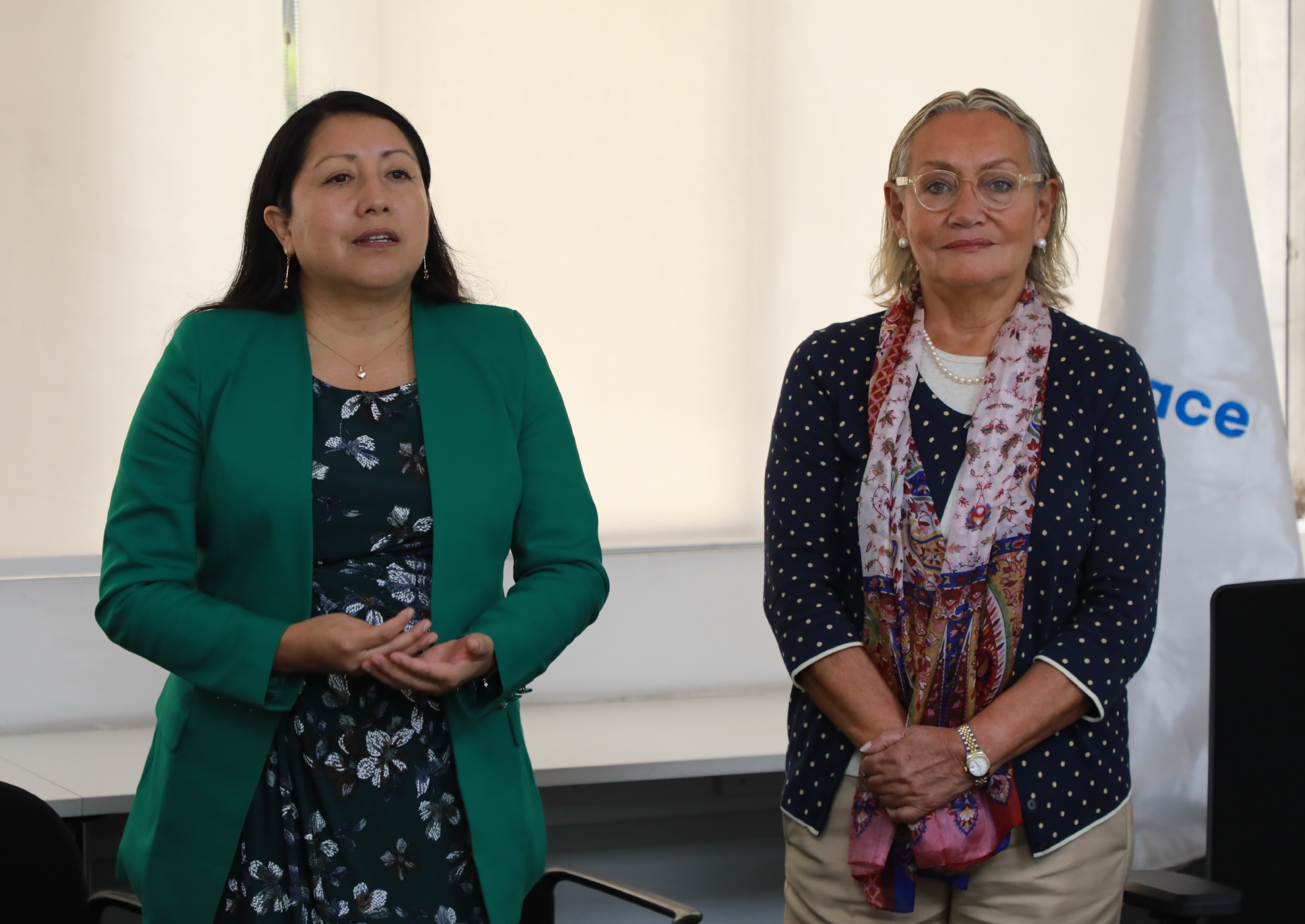 Sineace lidera validación del Mapa de Procesos de Aseguramiento del Subsector Salud
