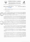 Vista preliminar de documento RD N° 910-2025