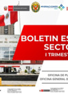 Vista preliminar de documento Boletín Estadístico Sectorial al Primer Trimestre Año 2025