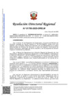 Vista preliminar de documento RDR-1795-2025-DRELM