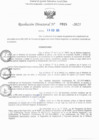 Vista preliminar de documento RD N° 915-2025