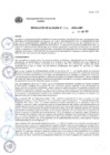 Vista preliminar de documento RESOLUCION_DE_ALCALDIA_N°446-2025-A-MPI
