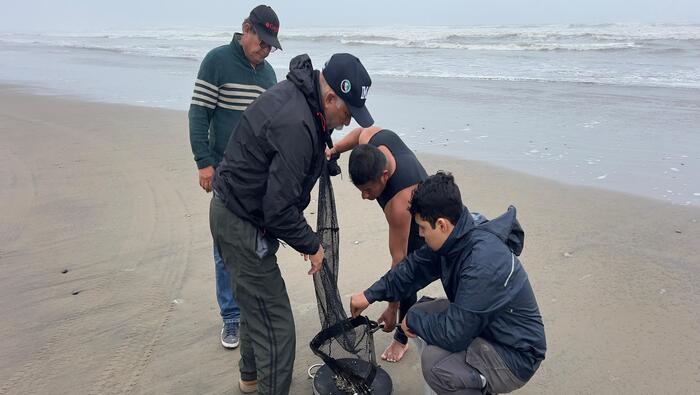 Segunda evaluación científica refuerza protección de biodiversidad marina en la Reserva Nacional Illescas
