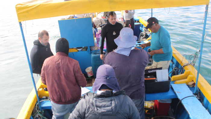 Segunda evaluación científica refuerza protección de biodiversidad marina en la Reserva Nacional Illescas