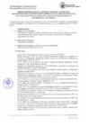 Vista preliminar de documento BASES DEL PROCESO CAS 011-2025