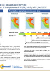 Vista preliminar de documento boletinITH070625