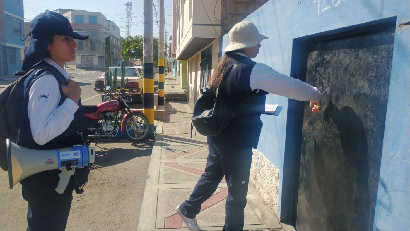 vigilancia entomológica