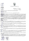 Vista preliminar de documento Ordenanza Municipal N.° 725-MSS