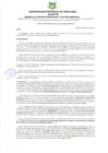Vista preliminar de documento RESOLUCIÓN GERENCIAL N 122-2025-GSMyGA-MPPA-A