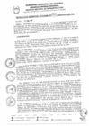 Vista preliminar de documento RGR0258-2025-GRI