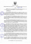Vista preliminar de documento Resolucion 231