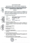 Vista preliminar de documento CONVOCATORIA ROUD UNIDPMA REGPOL LORETO.