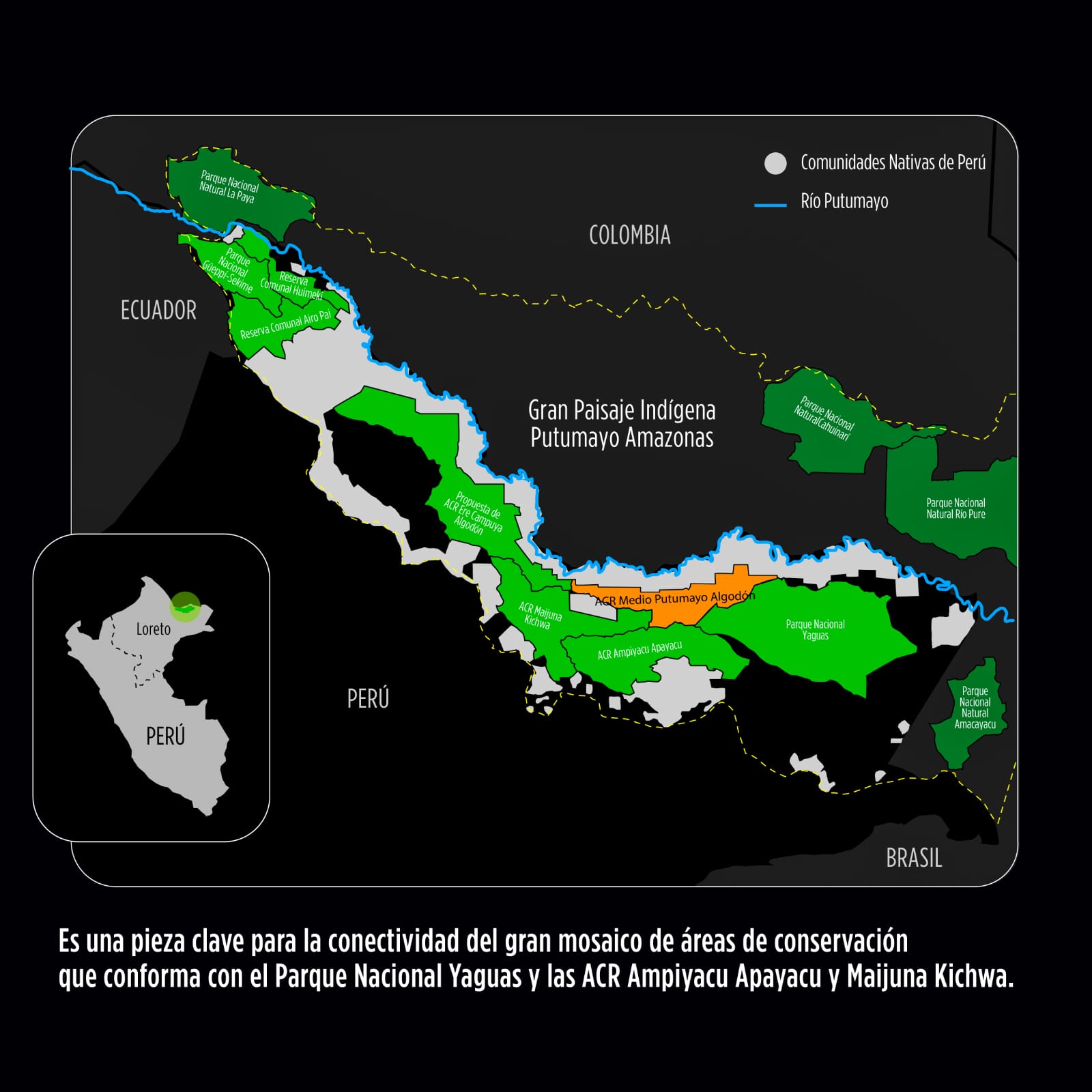 Loreto protege más de 283 mil hectáreas de bosques con nueva Área de Conservación Regional Medio Putumayo-Algodón.