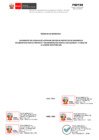 Vista preliminar de documento TDR - LICENCIA GESTOR DE PROYECTO