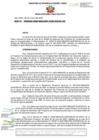Vista preliminar de documento RDE-D000033-2025-MIDAGRI-AGROIDEAS-DE