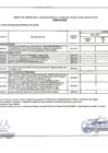 Vista preliminar de documento APROBACIÓN CUADRO MULT1ANUAL DE NECESIDADES 06-06-2025 