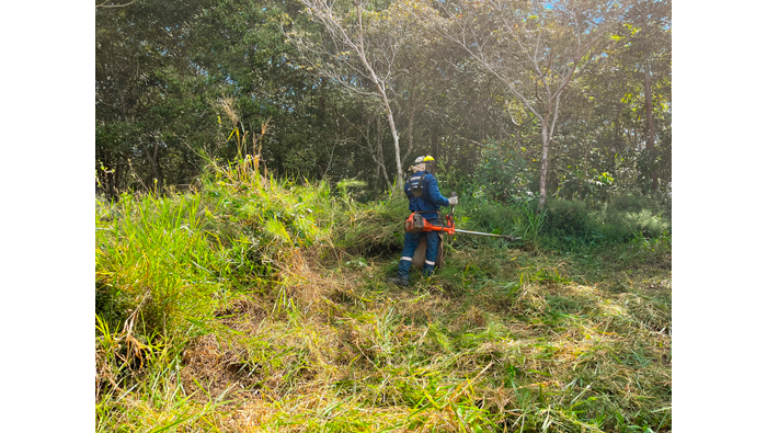 Continúan los trabajos de desmalezado en el parque El Indanal, parte alta de Tarapoto. 