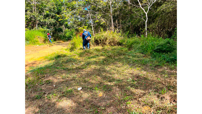 Continúan los trabajos de desmalezado en el parque El Indanal, parte alta de Tarapoto. 