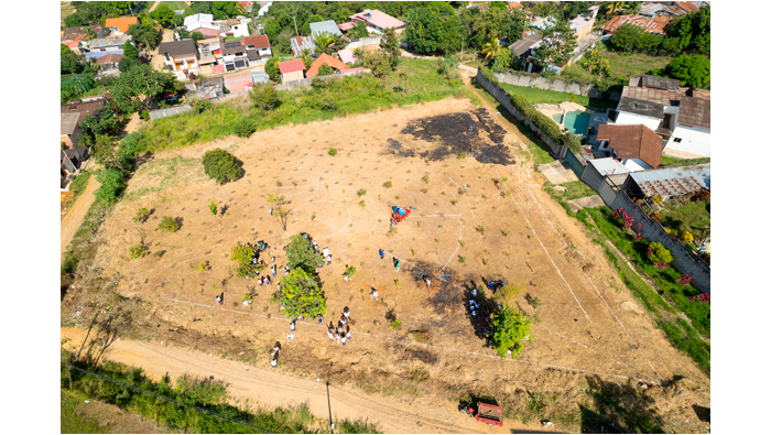 Gran Jornada de reforestaciรณn en el jardรญn botรกnico "Los Colibrรญes" por el Dรญa Mundial del Medio Ambiente.