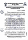 Vista preliminar de documento rco-n120-2025-co-uniscjsa