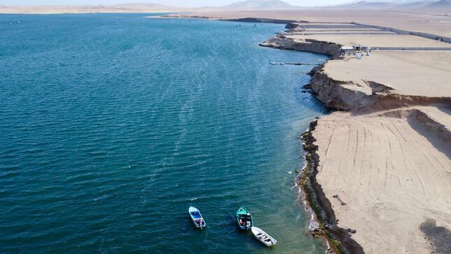 ProInnóvate ha financiado cerca de 500 iniciativas enfocadas en la acción climática