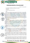 Vista preliminar de documento ORDENANZA MUNICIPAL N° 002-2025-CM-MDP
