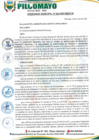 Vista preliminar de documento ORDENANZA MUNICIPAL N° 004-2025-CM-MDP