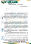 Vista preliminar de documento ORDENANZA MUNICIPAL N° 005-2025-CM-MDP