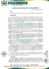 Vista preliminar de documento ACUERDO DE CONCEJO MUNICIPAL N° 005-2025-MDP-CM