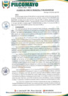 Vista preliminar de documento ACUERDO DE CONCEJO MUNICIPAL N° 006-2025-MDP-CM