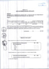 Vista preliminar de documento ANEXOS-CASN°001-2025