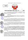 Vista preliminar de documento Resolucion Directoral N° 003393-2025