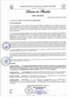 Vista preliminar de documento N° 004-2025