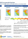 Vista preliminar de documento boletinITH090625