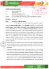 Vista preliminar de documento imforme 219