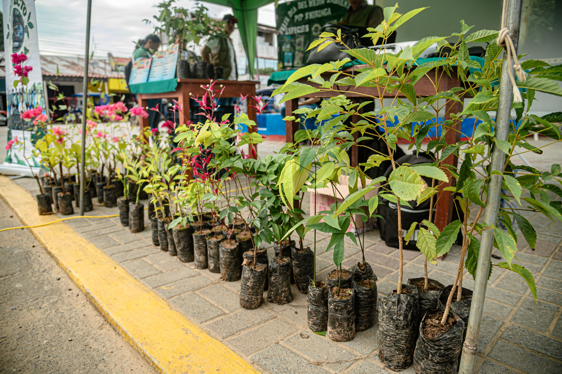 2da Feria Ambiental 2025