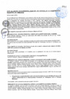 Vista preliminar de documento Acta de Sesión Extraordinaria N°005-2025
