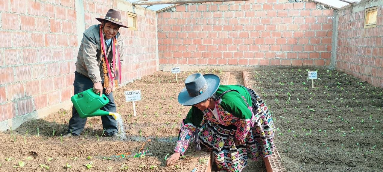 Gobierno realiza acciones para mitigar los efectos de las heladas y entrega S/ 1000 en insumos agrícolas en apoyo a la agricultura familiar
