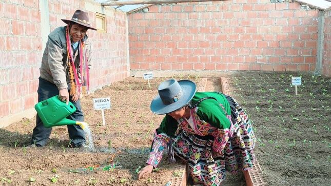 Gobierno realiza acciones para mitigar los efectos de las heladas y entrega S/ 1000 en insumos agrícolas en apoyo a la agricultura familiar